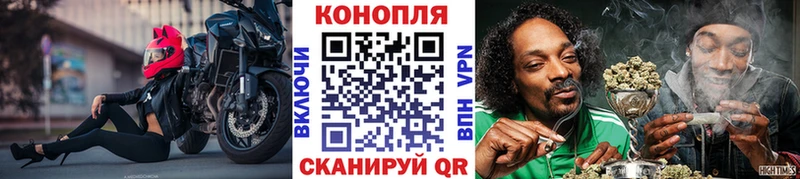 Канабис планчик  Купить  Кедровый 